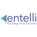 Entelli Consulting logo