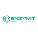 Enzymit