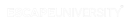 Escape University