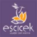 escicek.com