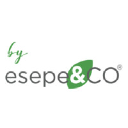 esepegrup.com