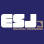 ESJ Financial Engineering logo