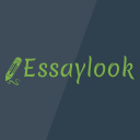 @essaylook_com