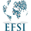 Essential Fund Services International logo
