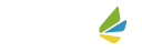 eswing.net