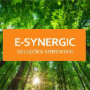 esynergic.com