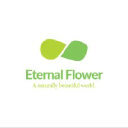 eternalflower.com.ec