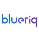 blueriq.com