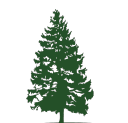 evergreenforestry.com