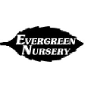 Evergreen Nursery Inc