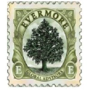 Evermore Global Advisors