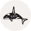 tulalip bingo