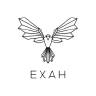 EXAH logo