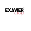 exaviergroup.com