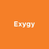Exygy logo