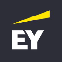 Ernst and Young Icon