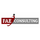 fae-consulting.de