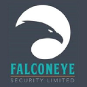 falconeyesecurity.com