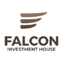 falconfin.com