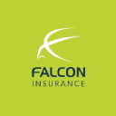 falconinsurance.co.uk