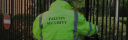 falconsecurity.org.uk