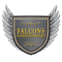 falconsinternational.com