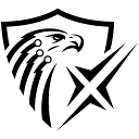 FalconX Security Services