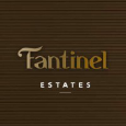 Fantinel Logo