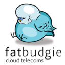 fatbudgie.co.za