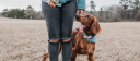 Federal Service Dog Registration