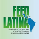 feedlatina.org