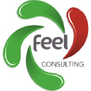 feelconsulting.com