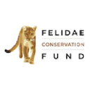 felidaefund.org