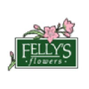 fellys.net