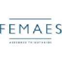 femaes-asesores.com