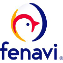 fenavi.org