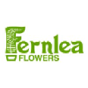 Fernlea Flowers
