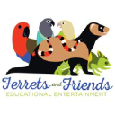 ferretsandfriends.org