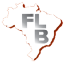 ferroligasbrasil.com.br