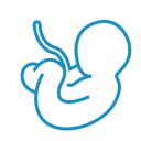 fetal-medicine.co.uk