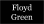 Floyd Green Cpa logo