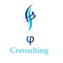 fi-consulting.com