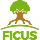 ficus.org.pe