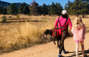 fidoprotection.com