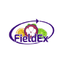 fieldex.com.co