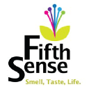 fifthsense.org.uk