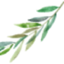 Company logo for fincaoxford.com
