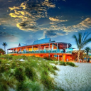 Fins at Sharky's