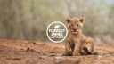 Fjsafaris