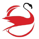 flamingomotors.com.cy